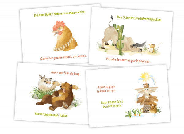 Lot carte Nature